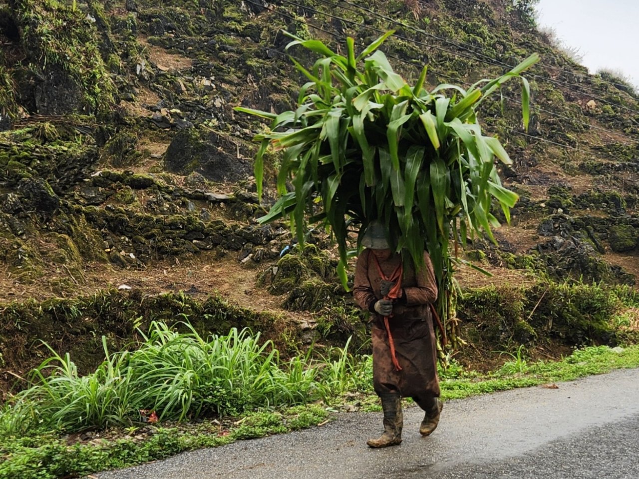 10-Day Cao Bang, Ban Gioc & Ha Giang Cycling Tour